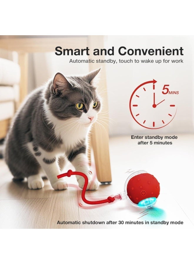 Cat toy ball with bird chirping sound, dog toy ball, mobile cat ball with elastic net tail, automatic kitten toy for boring indoor adult cats - Image 3